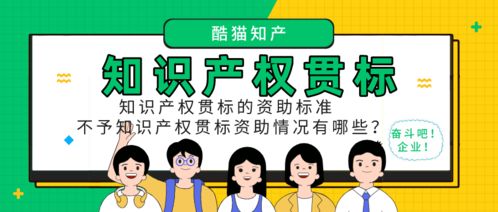 知識產(chǎn)權貫標資助標準與不資助情況解析